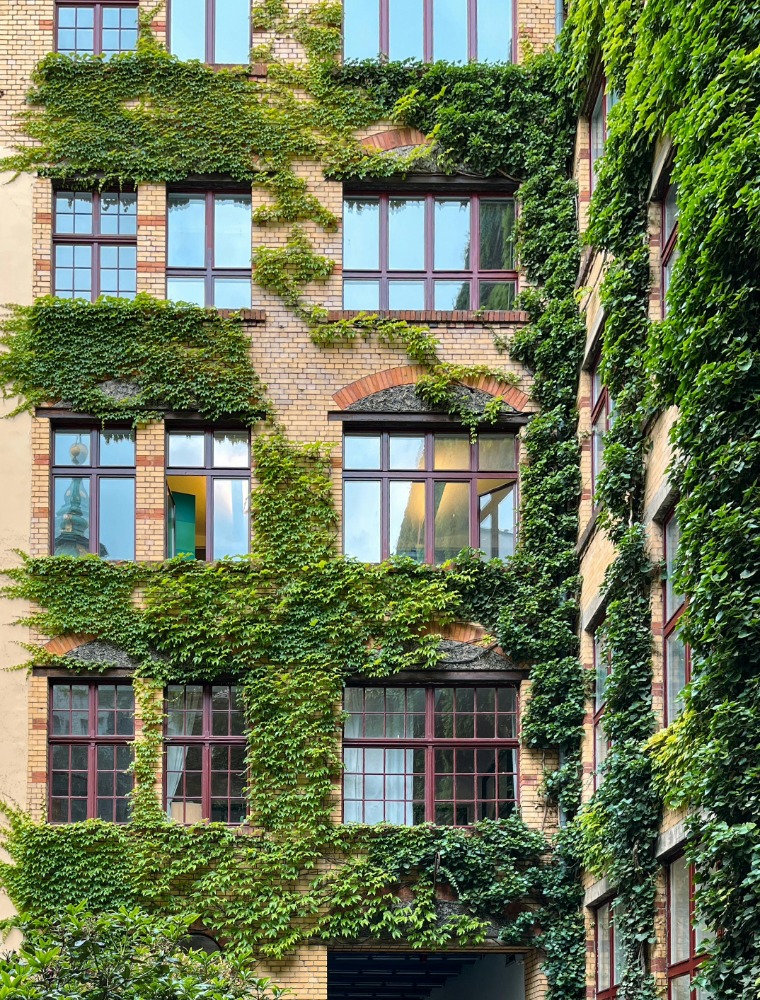 Sustainability and ESG natural environment and responsible growth